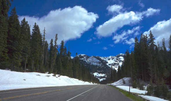 1st Snow - 3700 Feet